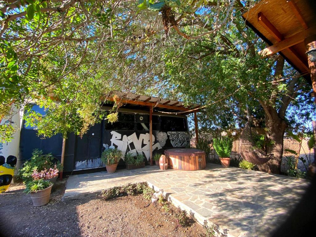 Magic Bus, Chlorakas