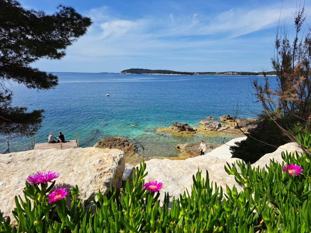 Foška Apartment, Pula