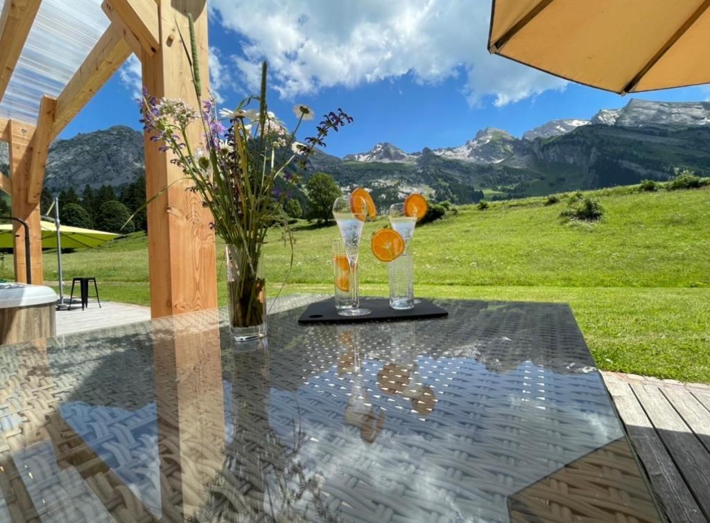 Chalet Inarpa - Appartements et Suites - 4