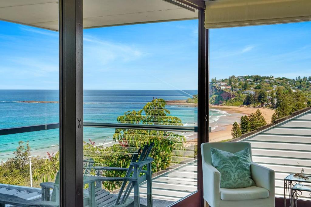 Agave Newport, Newport