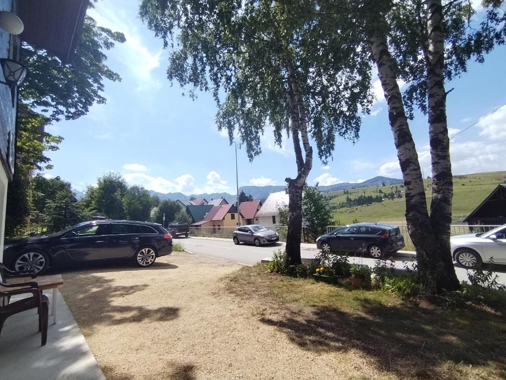 Mountain Life - 2