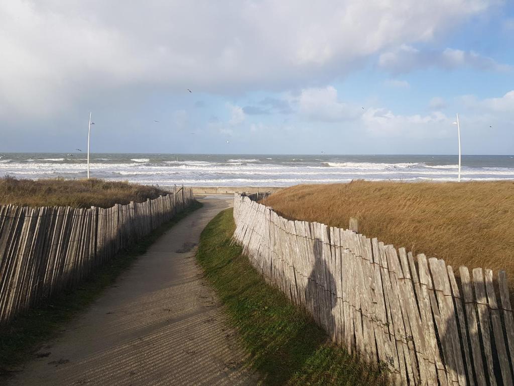 Cabourg Emeraude 2 étoiles plage et thalasso 100m parking gratuit - 2