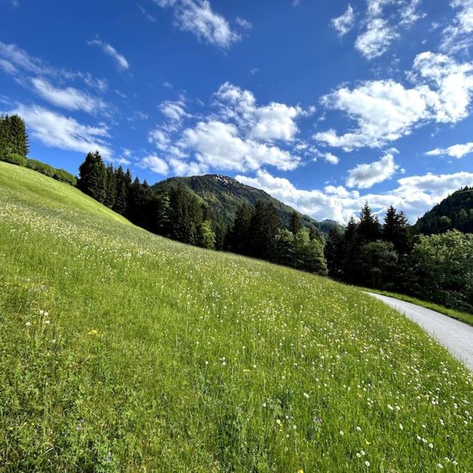Ferienwohnung Luchtmaurer Auszeit - 2
