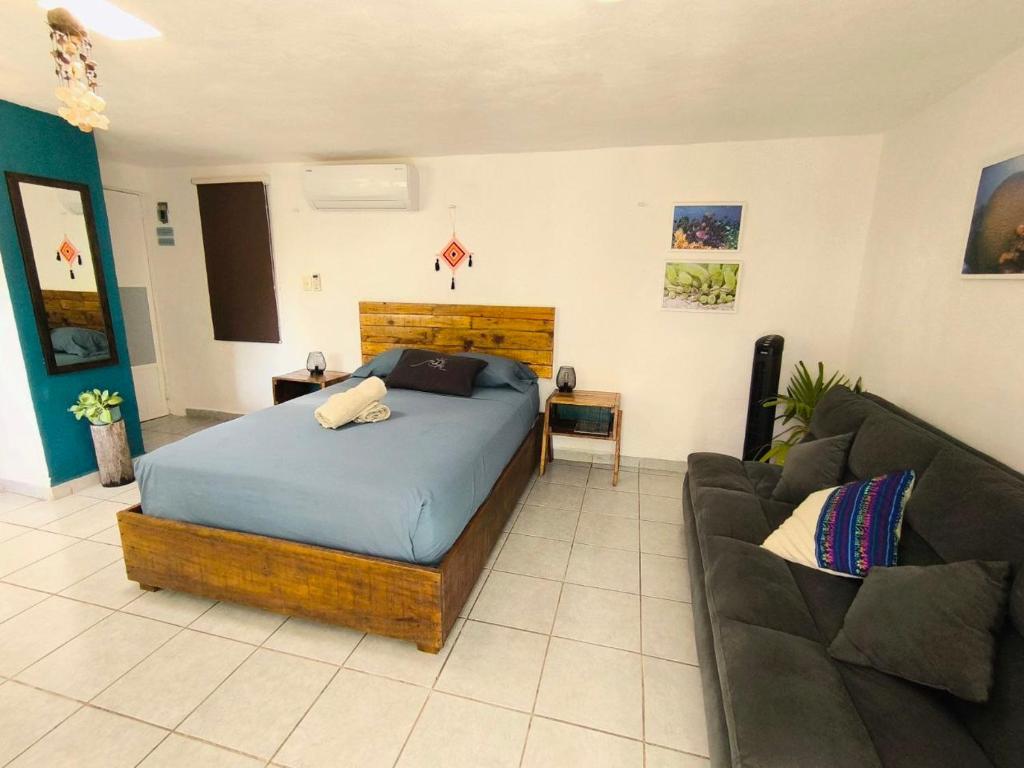 Comfy studio Yaxkin on downtown, 3 block away from sea and sunsets, Cozumel
