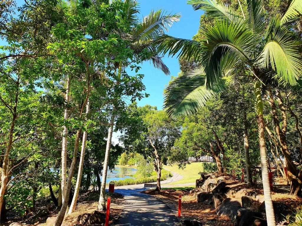 アクティビティ