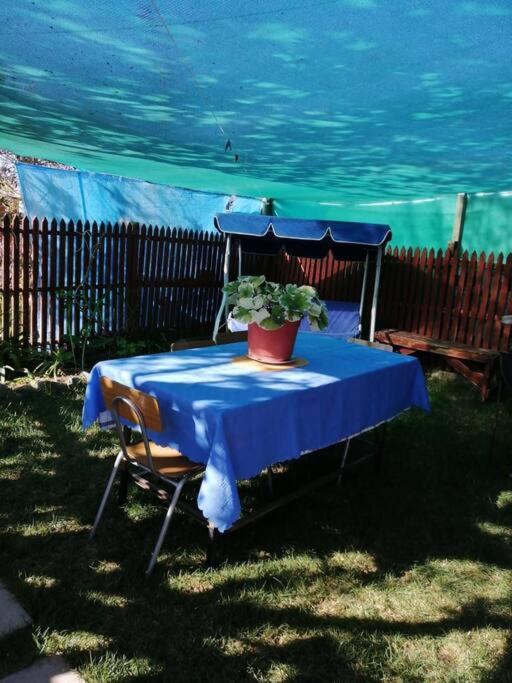 Arriendo casa villa el Tangue, Tongoy - 4