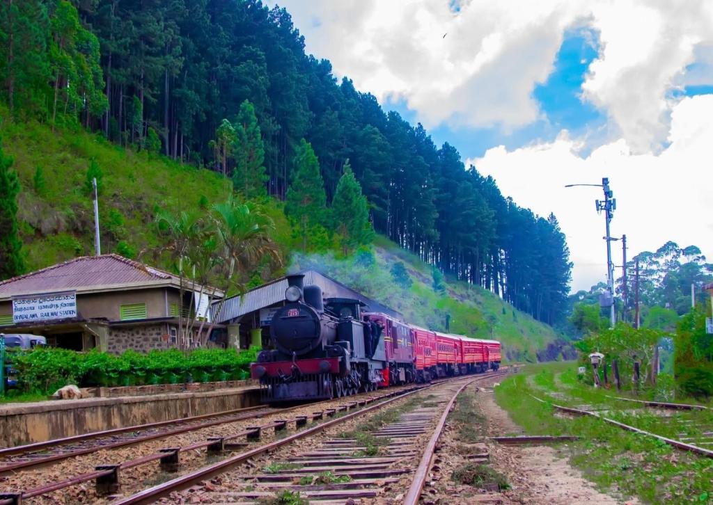 Ceylon Shadow Ella, Ella