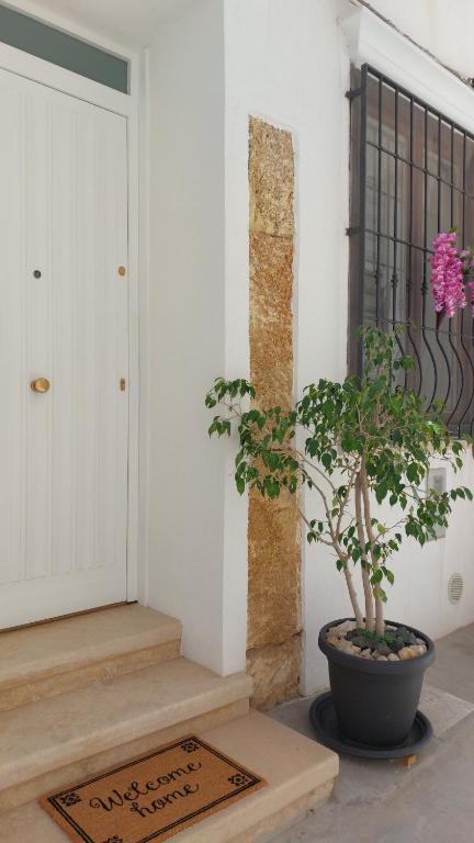 Casa Vacanze - VIOLA HOUSE by La Casa di Viola - Marsala - 3