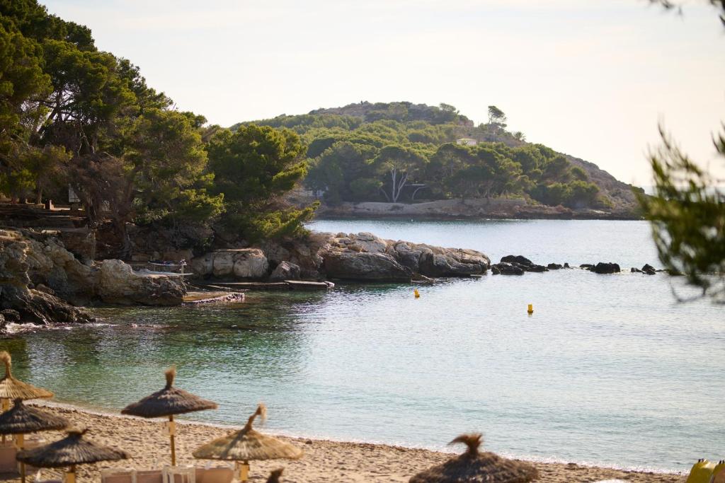 AluaSoul Carolina - Adults Only — Beach in Capdepera, Balearic Islands