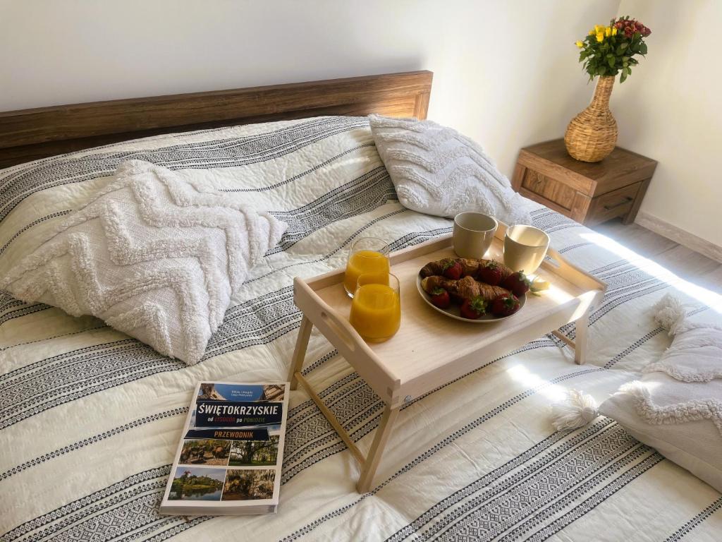 Apartamenty na Wzgórzu Boho-Jacuzzi, sauna, survival, free parking, Zagnańsk