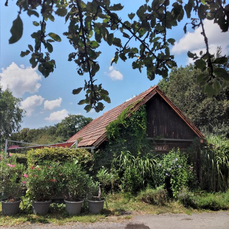 Petite Noel, Güssing