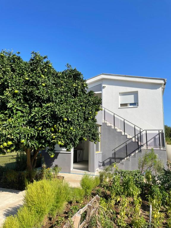 Grapefruit Home Apartment Ulcinj Montenegro, Donji Štoj