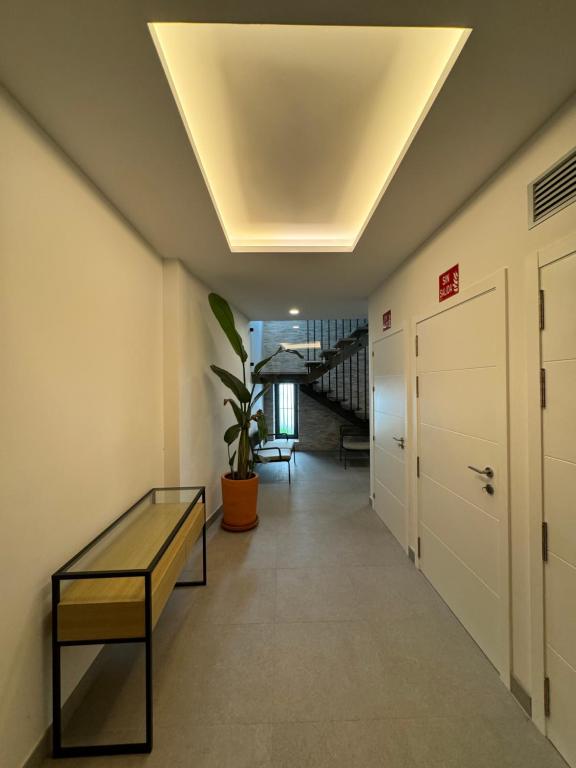 Loft Huerto Old Town - 5