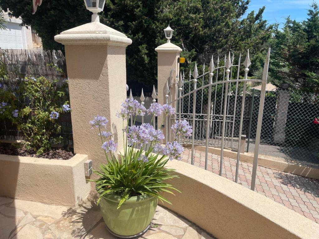 Un havre de paix au cœur de Mougins - 2
