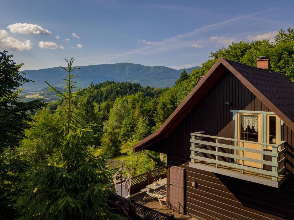 Alemiło - dom w górach z balią, Zawoja
