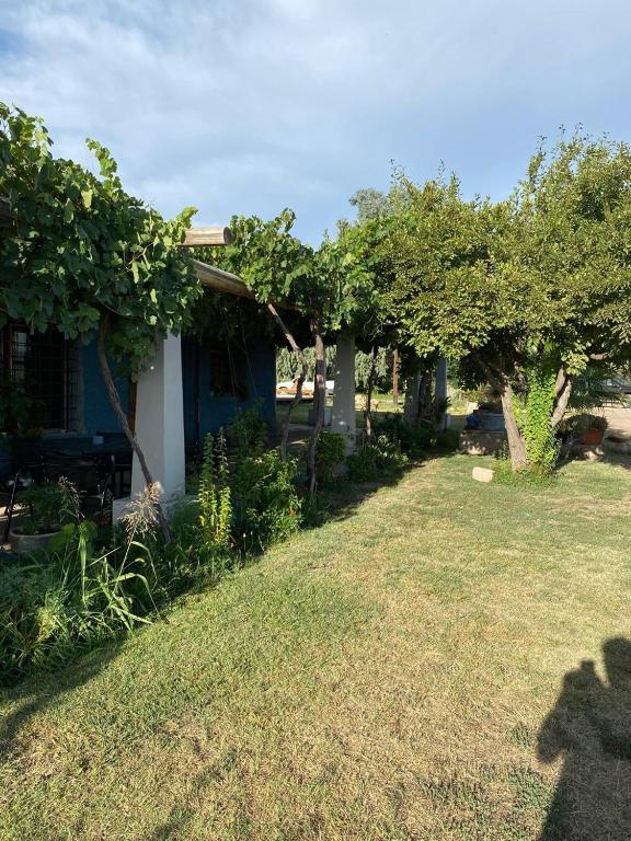 ENTRE VIÑAS RURAL - 4