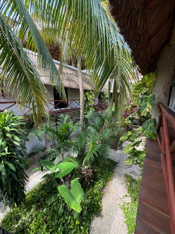 Surrounding environment