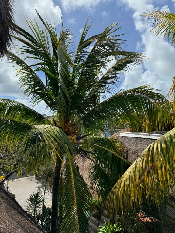 Surrounding environment