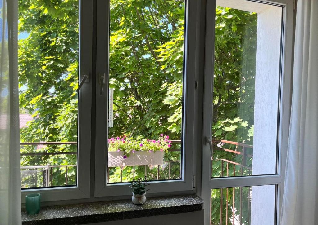 Apartament Next to Old Town 전경