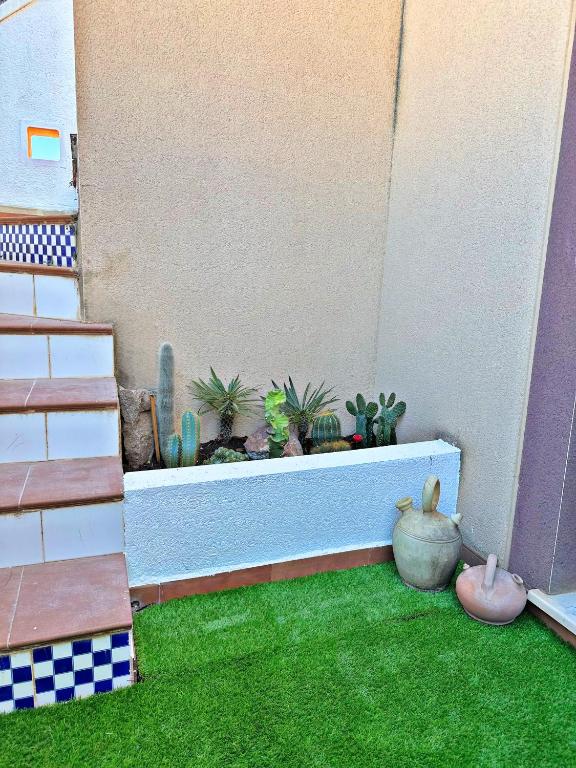 Ático De Diseño en Aguilas - 5