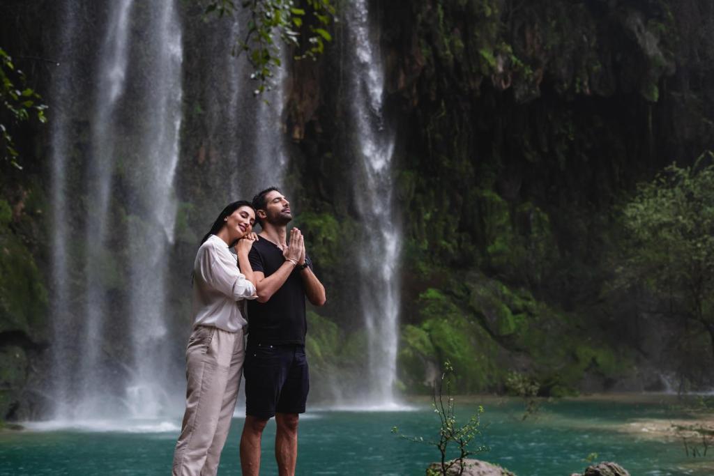 Surrounding environment