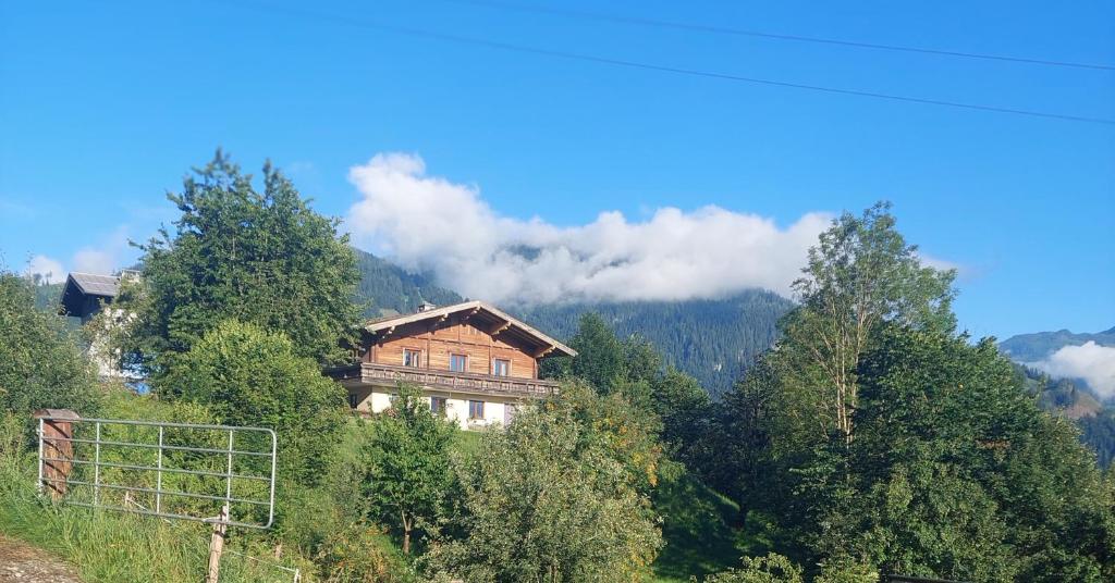 Ferienappartment Hölzl - 2