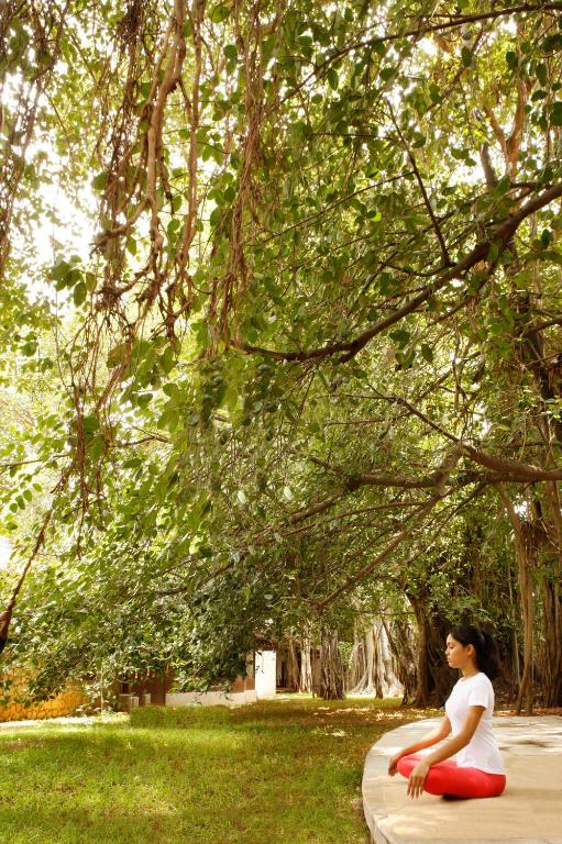 アクティビティ