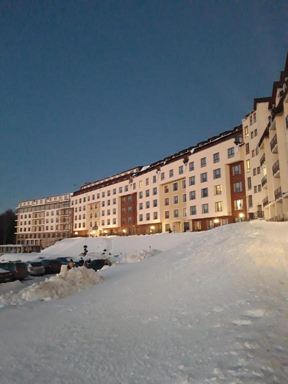 Milmari L39 Kopaonik - 5