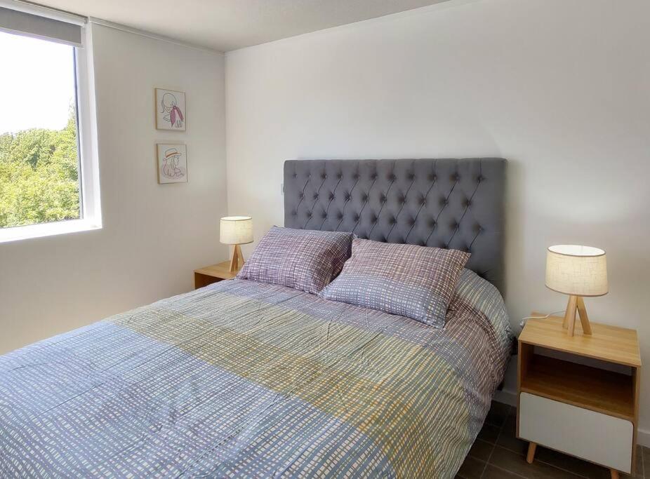 Descanso en Isla teja - 1