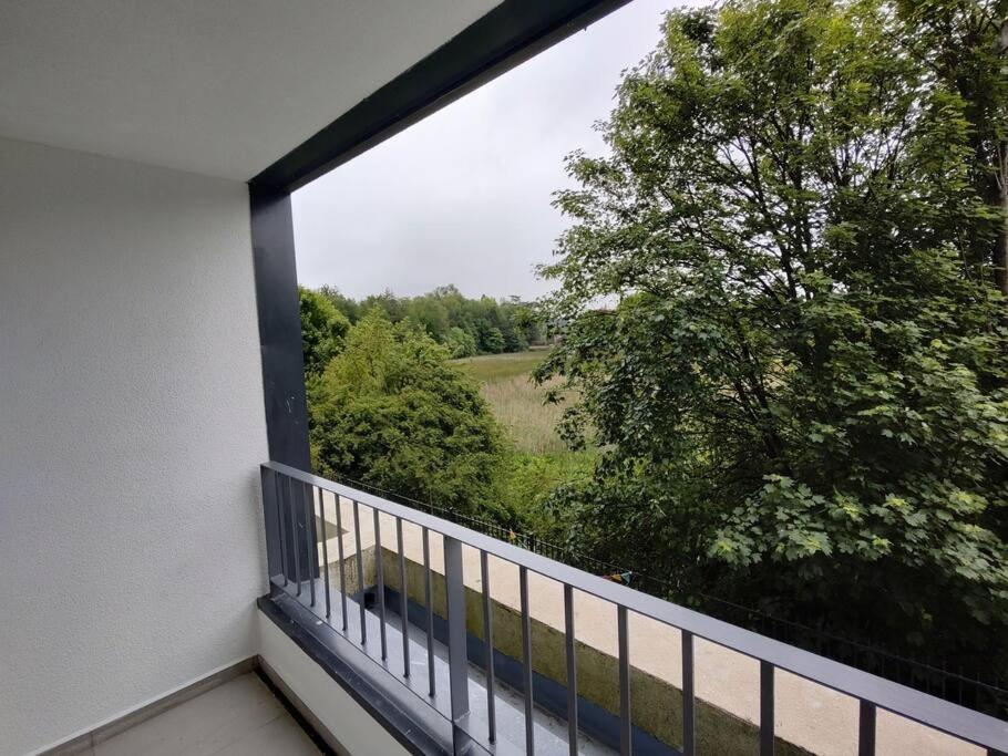 Descanso en Isla teja - 4