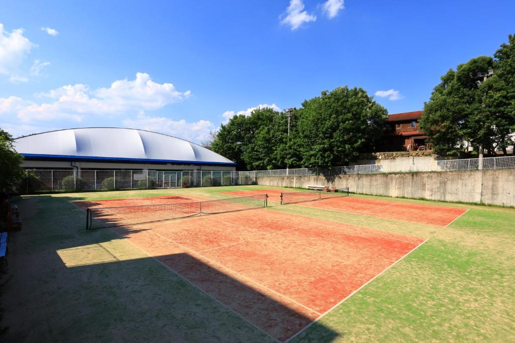 Tennis court