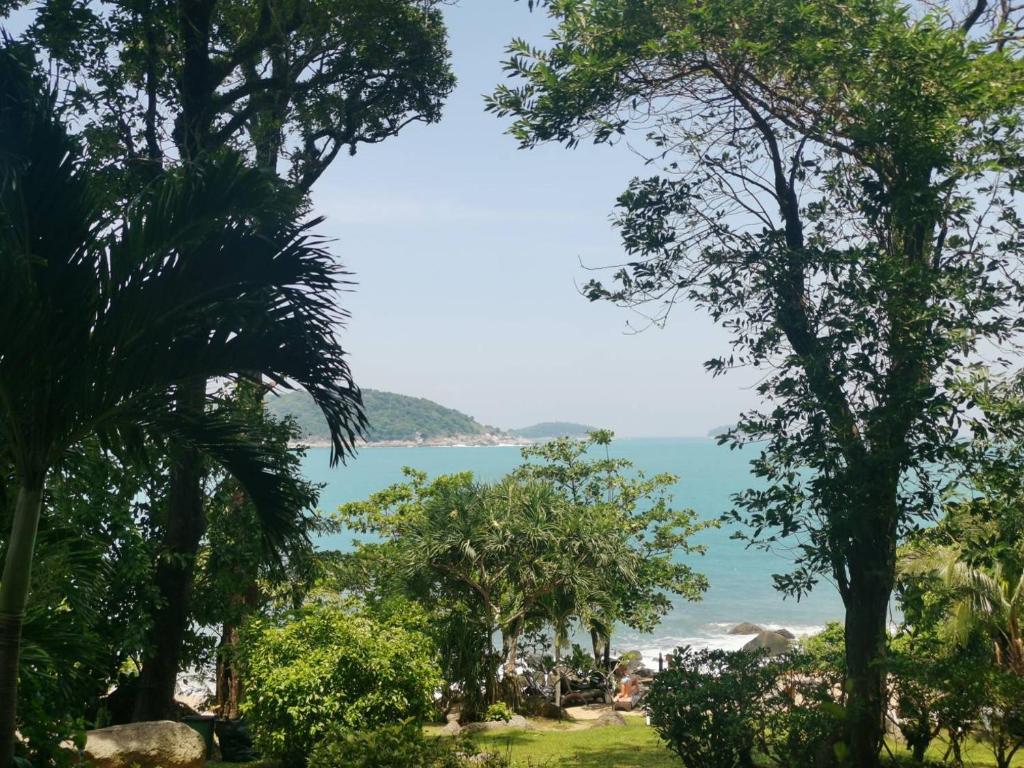 View