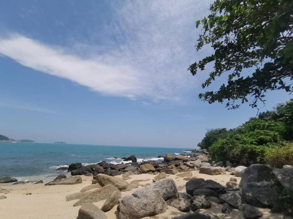 View