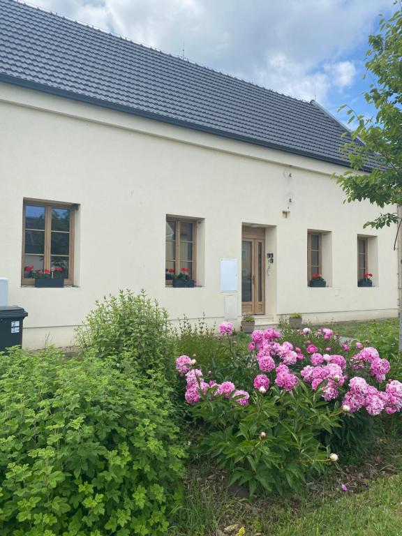 Apartmány Mikulčice, Mikulčice