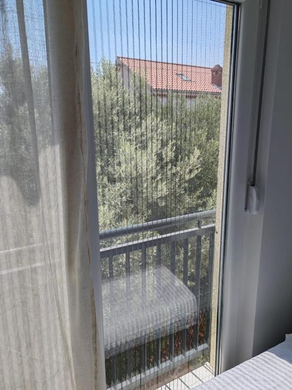 Ảnh 3