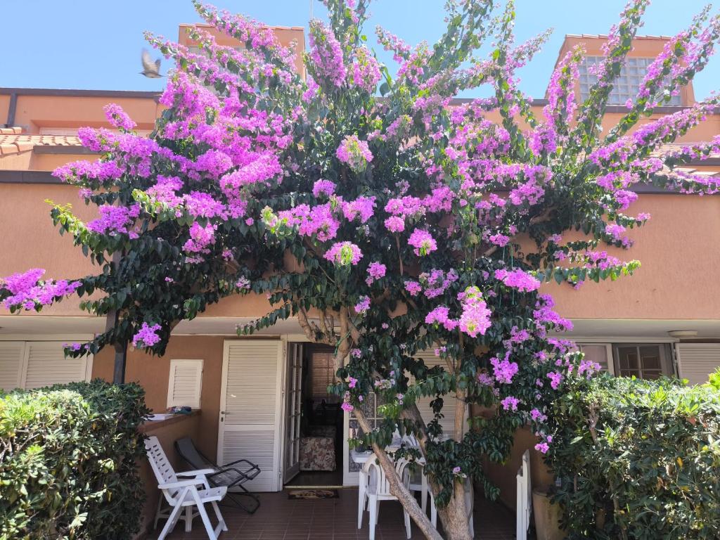 Villetta Indipendente Castiglione, Ferienhaus Castiglione della Pescaia