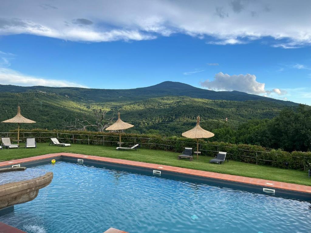Terre di GIORGIO Agriturismo Villa la Palazzetta 전경