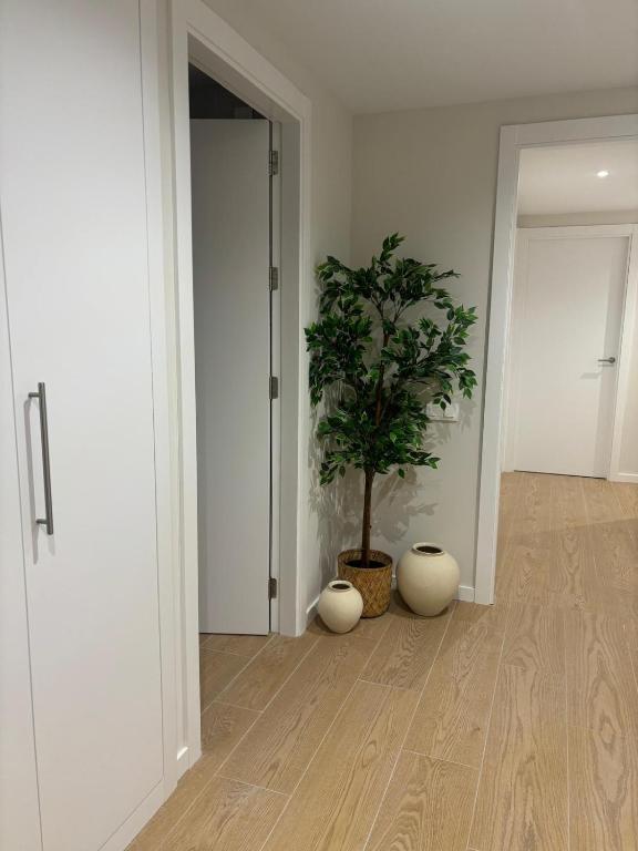 GaliciaGuestHome -Pardo Bazan-Silgar - 4