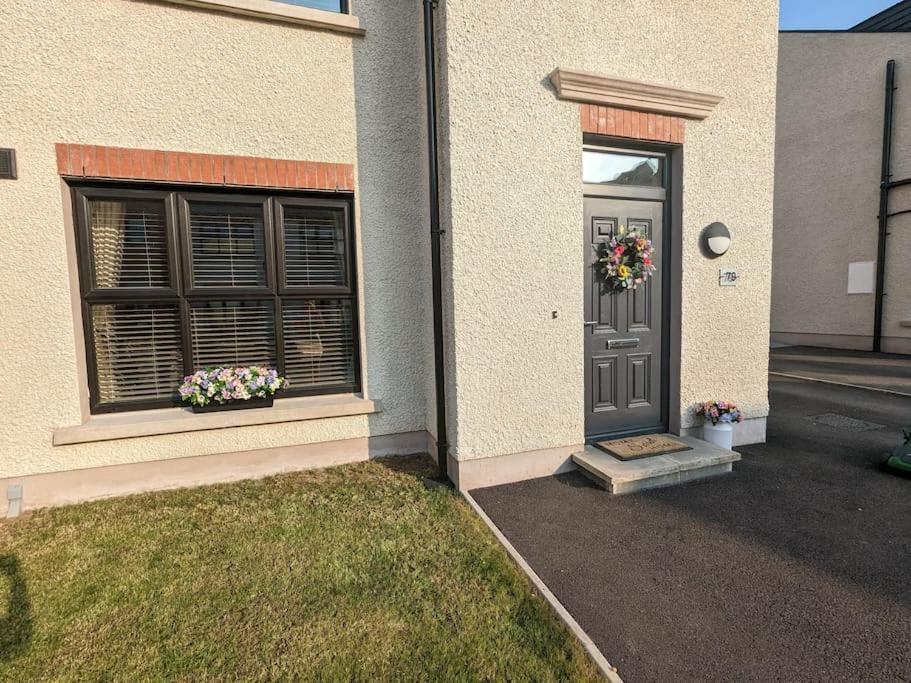 The Meadows, Fintona