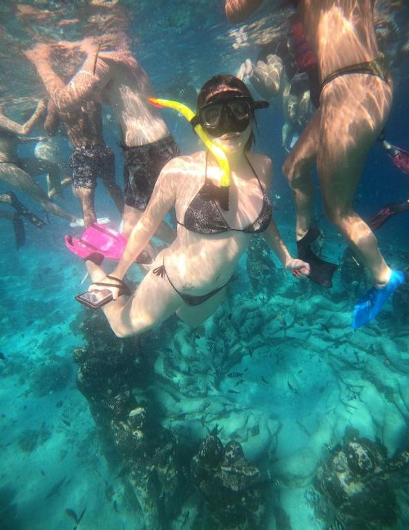 Tropical House Bungalows