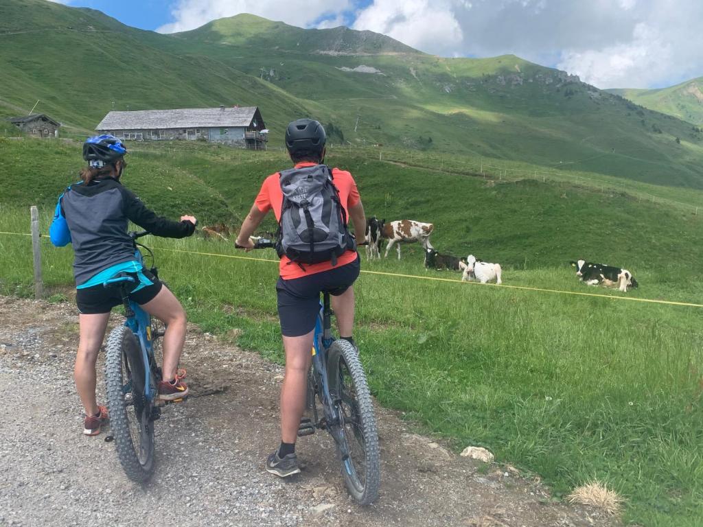 Chalet Montriond - Bike & Ski - 2