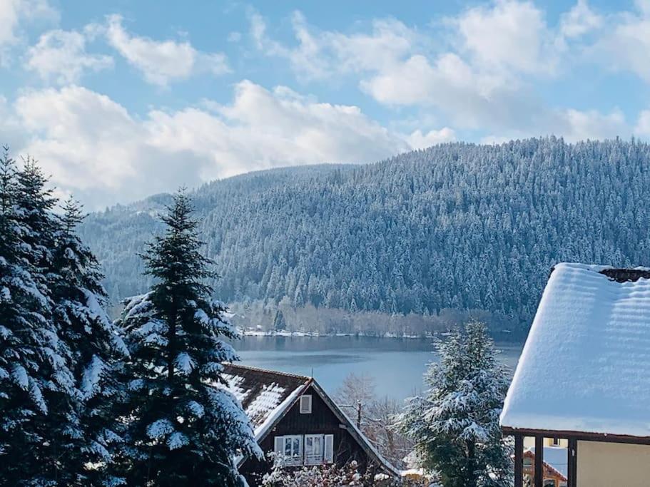 Duplex dans chalet avec superbe vue lac et piscine commune, Gérardmer