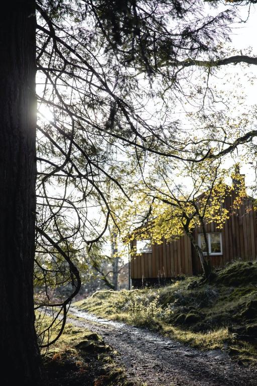 Timber Cottage, Acharacle