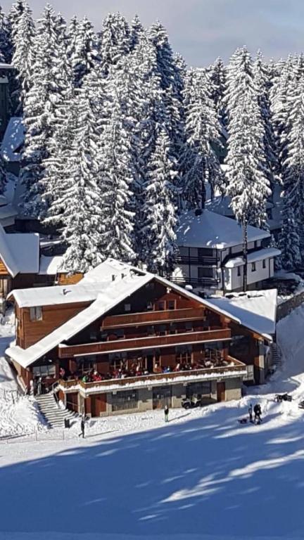 Pansion Vlašić Ski, Šišava