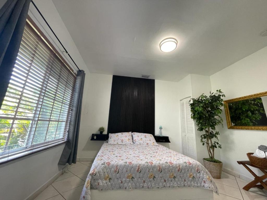 Private Suite next to Calle Ocho, Miami