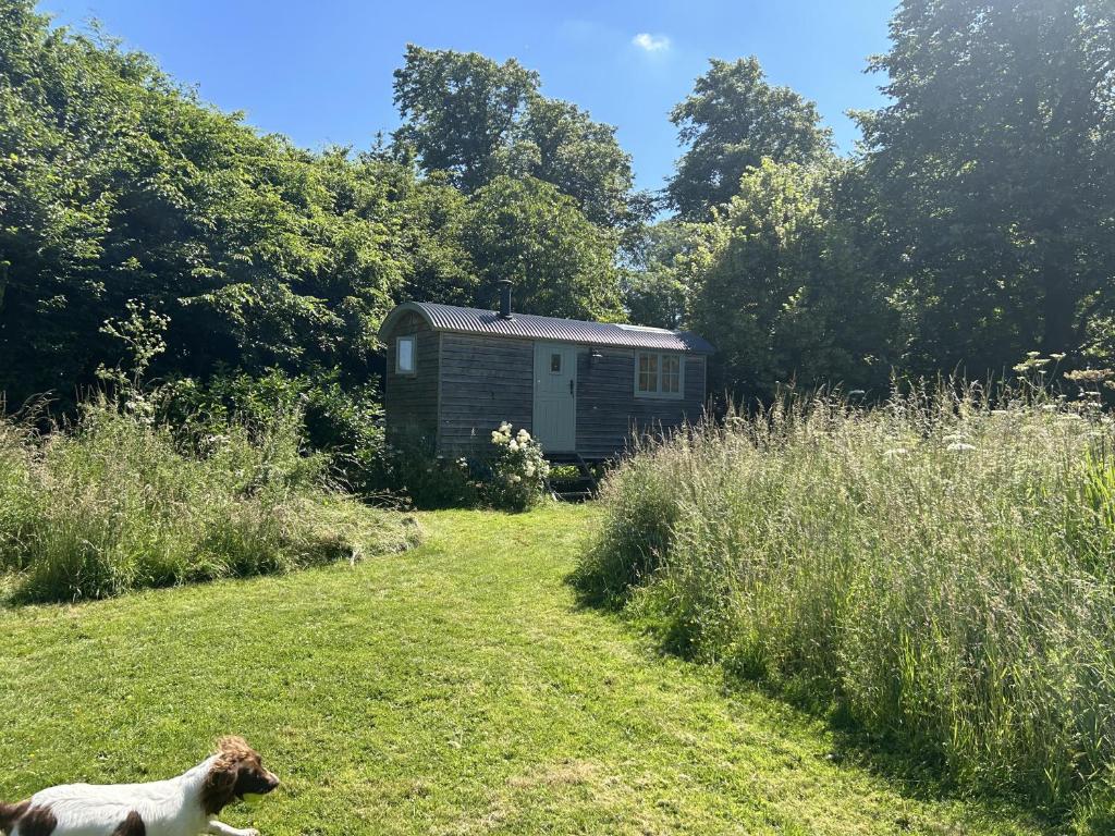 Cabin Retreat in Bedford - Sleeps 2 & Free parking, Bedford