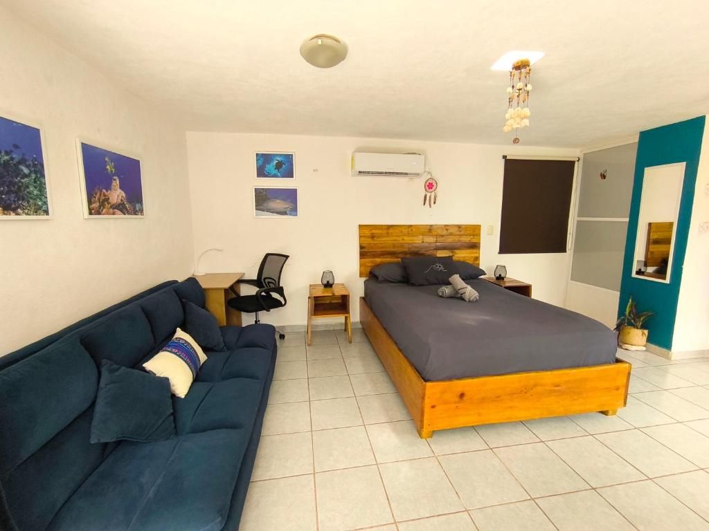Equipped Yaxkin Studio on downtown, 3 blocks away from sea, close to restaurants, Cozumel