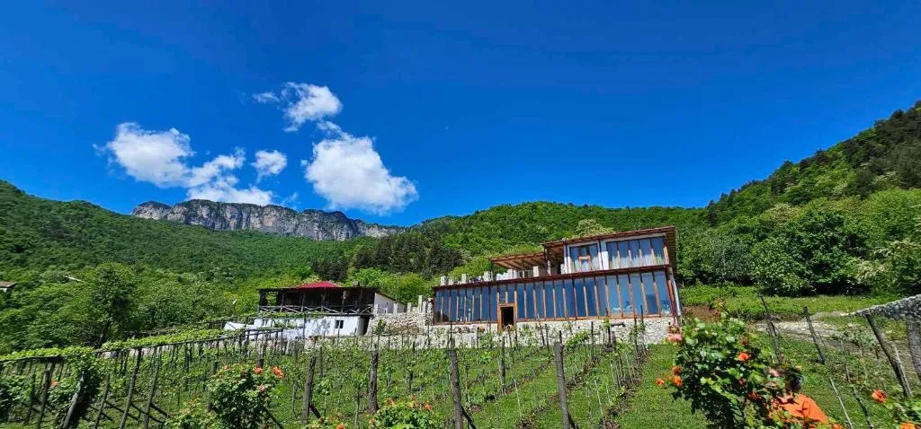 Korenishuli Veranda Wine Hotel 40 km from Tsageri，位于Tsʼageri的酒店