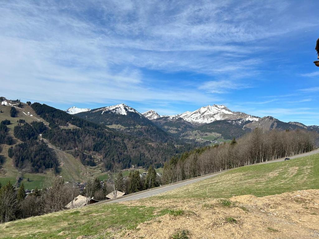 Chalet Morzine La petite grange - 3