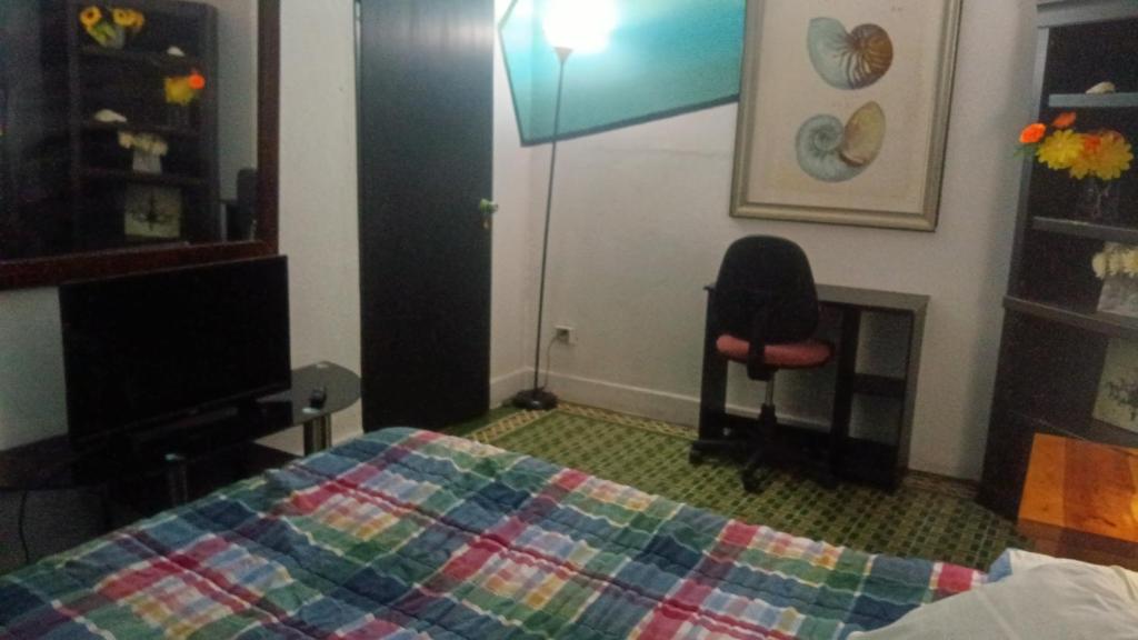 MEDUSA'S HOSTEL, Aguadilla